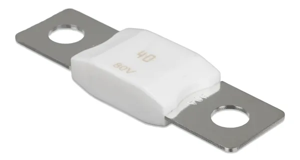 MEGA-fuse 40A/80V (package of 5 pcs) - imagine 5